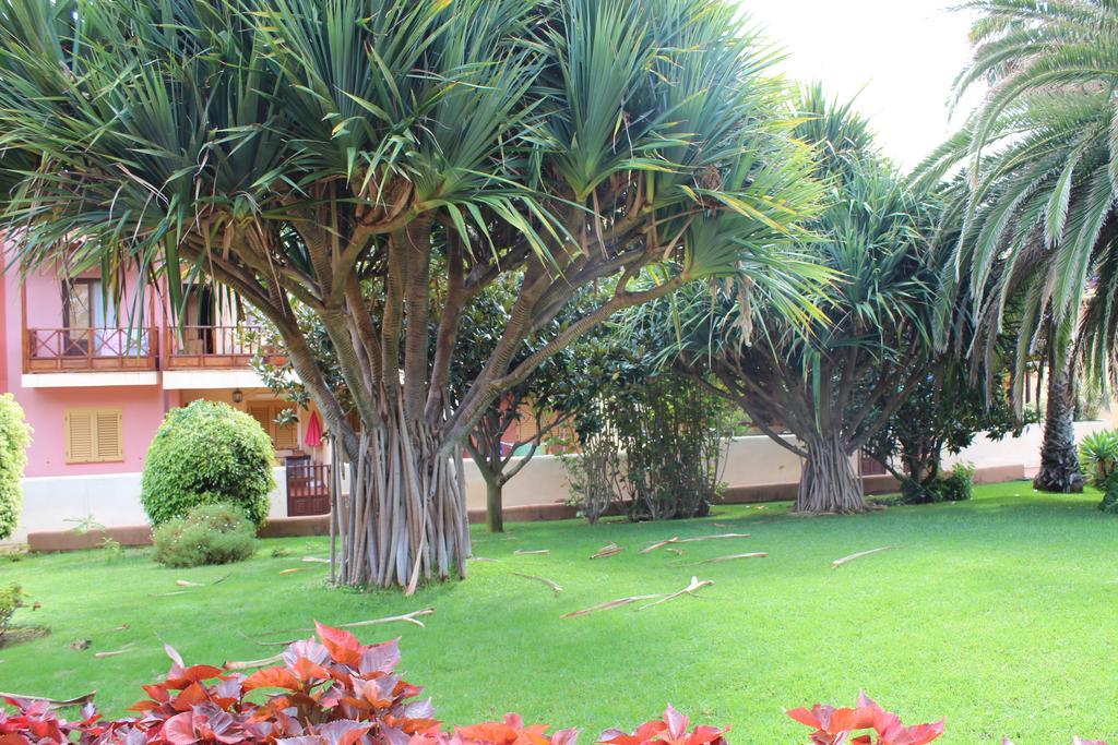 Vivienda Vacacional Los Balconcitos Playa Cancajos.- BreNa Baja  Esterno foto